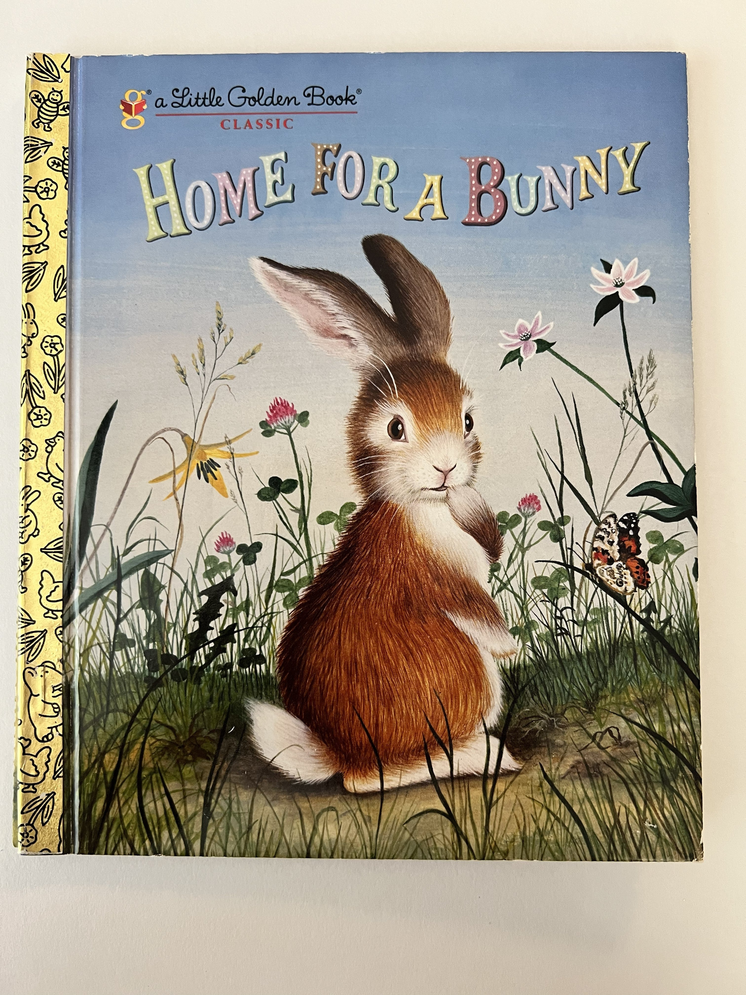 Home for a Bunny